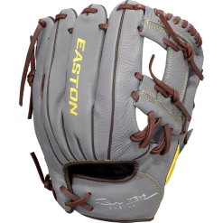 Easton Future Elite 11" Baseball Glove: FE11-GYBR