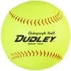 Dudley 21" Trophy Autograph Softball: 4D21AB -Cheap bat Store JPG 4D21AB TeamAutographBall