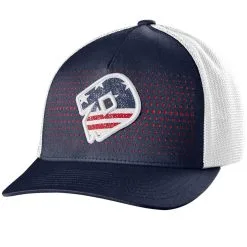 DeMarini Radiation D Flex Fit Hat: WTD1092