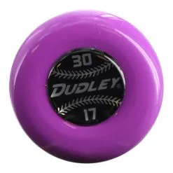 New Dudley Lightning Lift Aluminum Fastpitch Softball Bat -13 2 1/4″ Barrel Shop By Certification -Cheap bat Store llfp13 203 1080x1080
